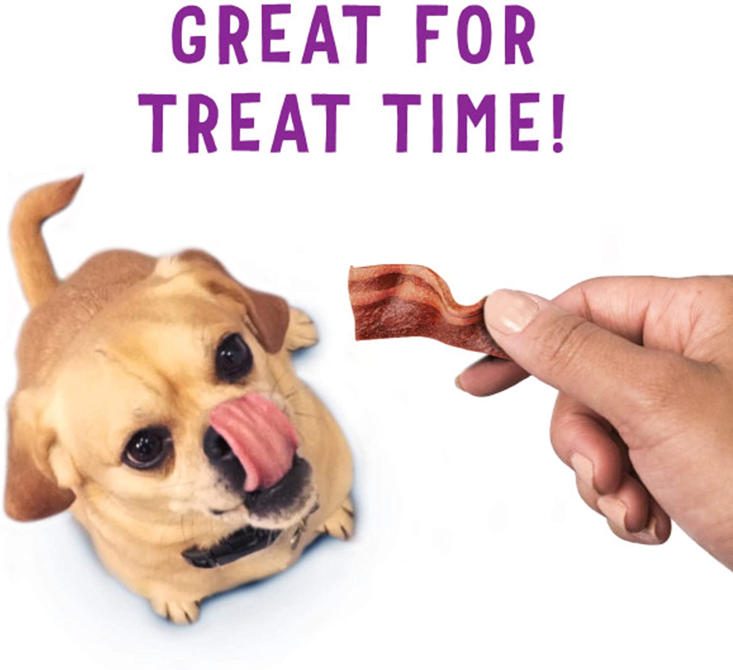Purina Beggin’ Strips Bacon Flavor Dog Snacks, 48 oz. – Nikkie Pets